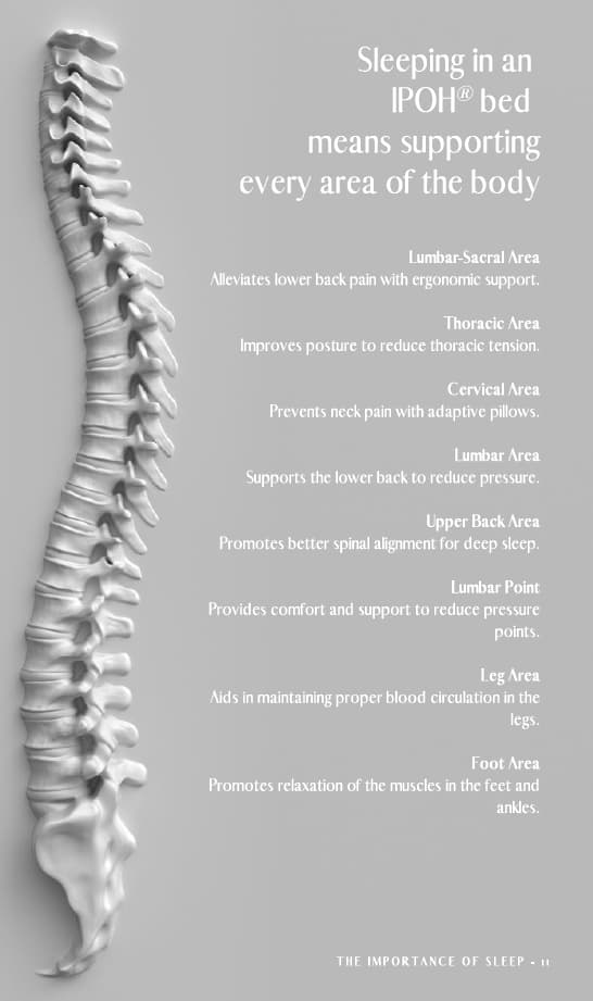 Body Support Zones